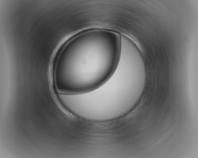 X0000113361128200909151230