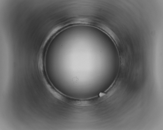 X0000113361131200909151230