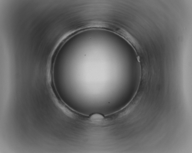 X0000113361132200909151230