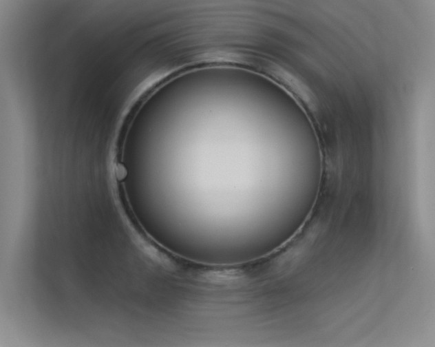 X0000113361133200909151230