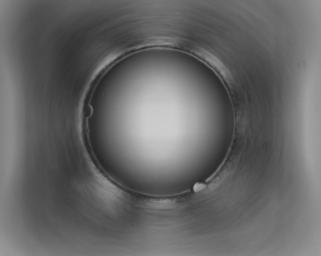 X0000113361135200909151230