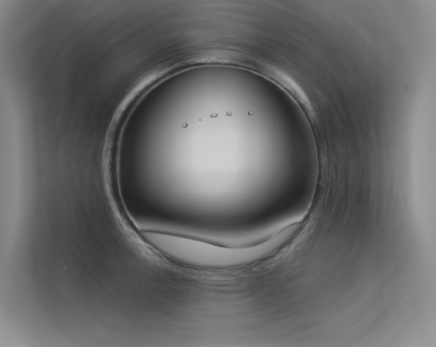 X0000113361138200909151230