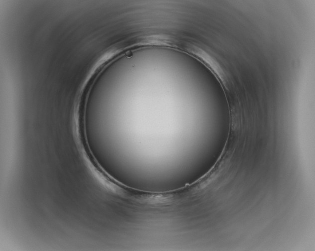 X0000113361139200909151230