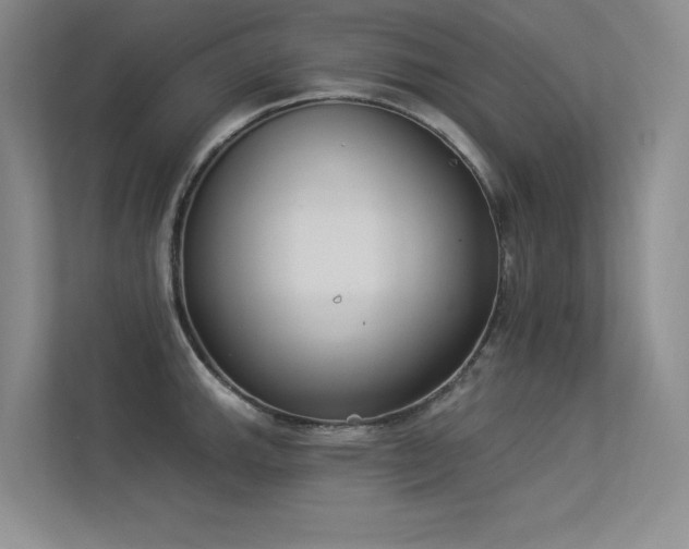 X0000113361143200909151230