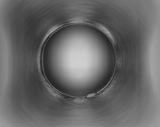 X0000113361146200909151230