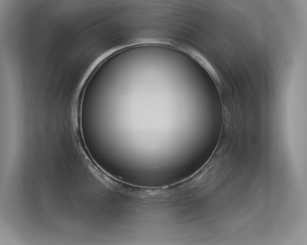 X0000113361148200909151230