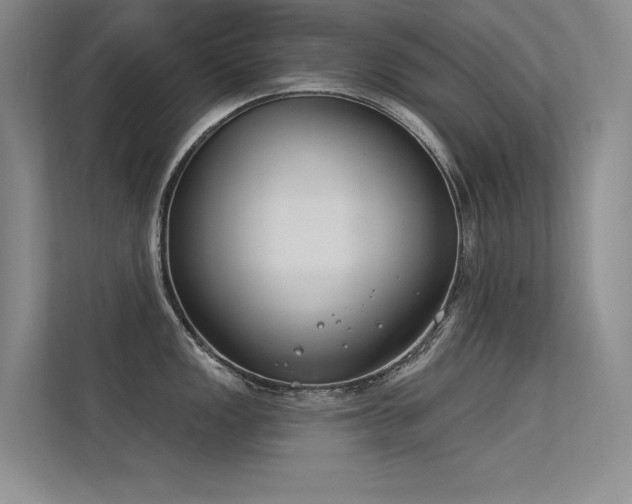 X0000113361149200909151230