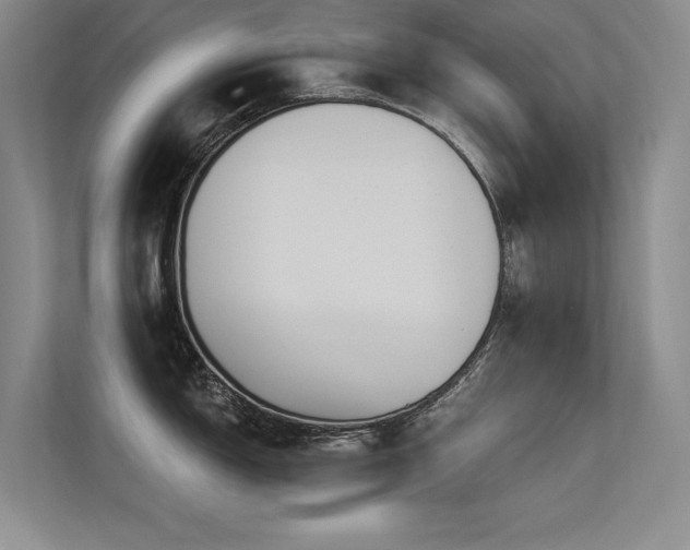 X0000113361150200909151230