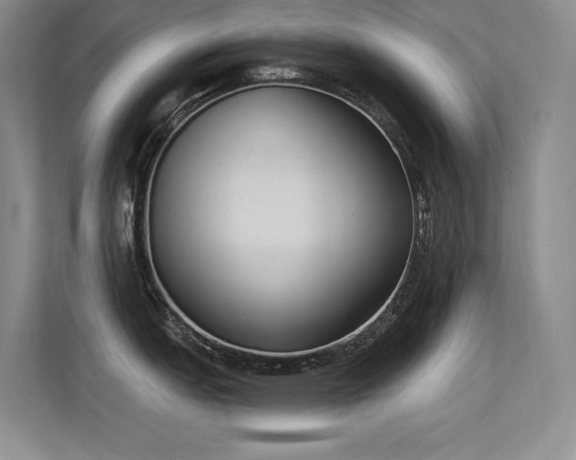 X0000113361151200909151230