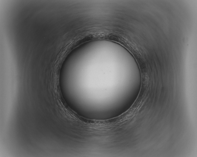 X0000113361153200909151229