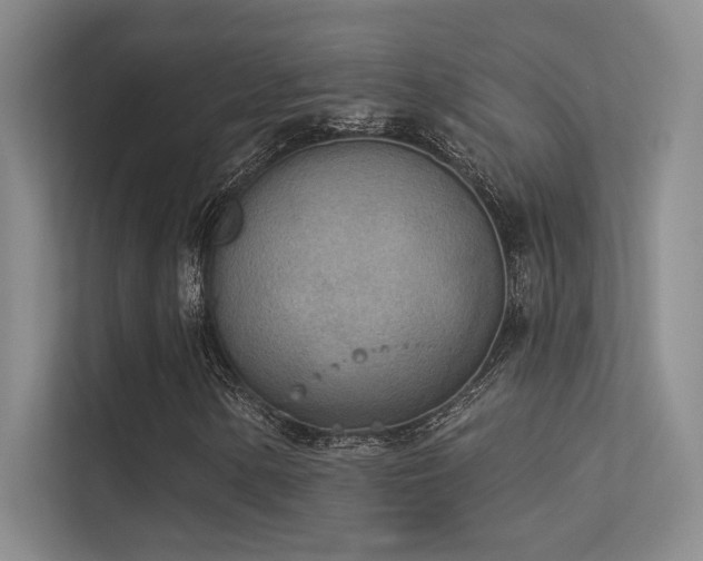 X0000113361154200909151229
