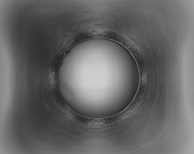 X0000113361156200909151229