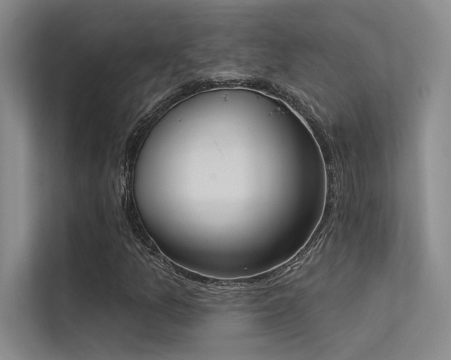 X0000113361157200909151229