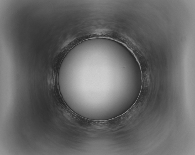X0000113361158200909151229