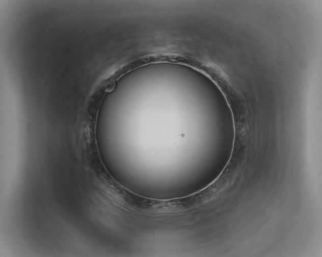 X0000113361159200909151229