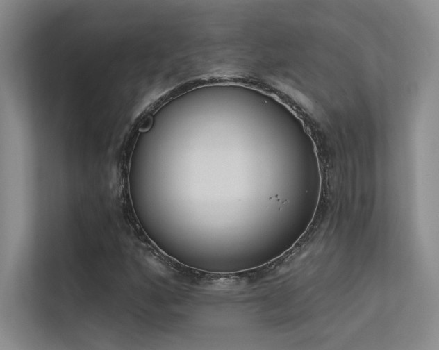 X0000113361160200909151229