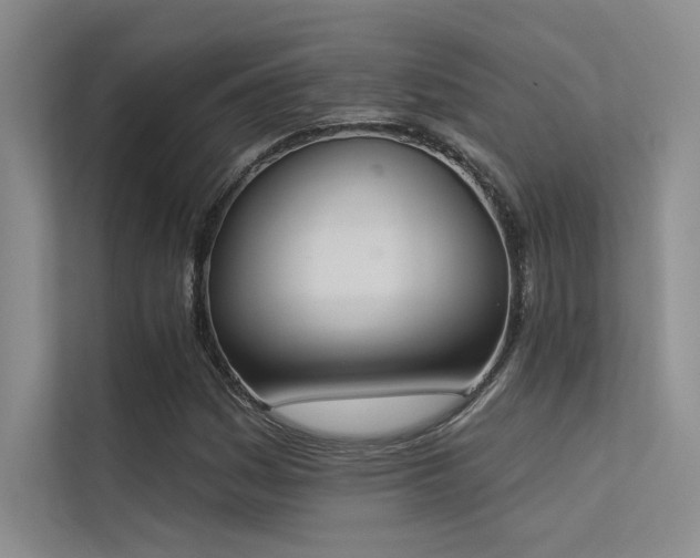 X0000113361161200909151229