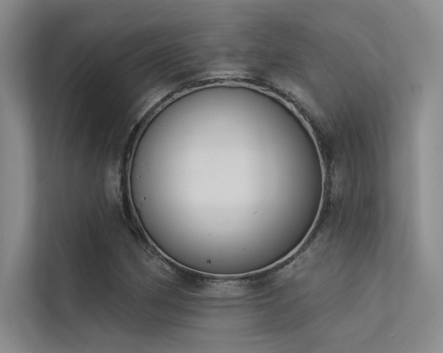 X0000113361162200909151229