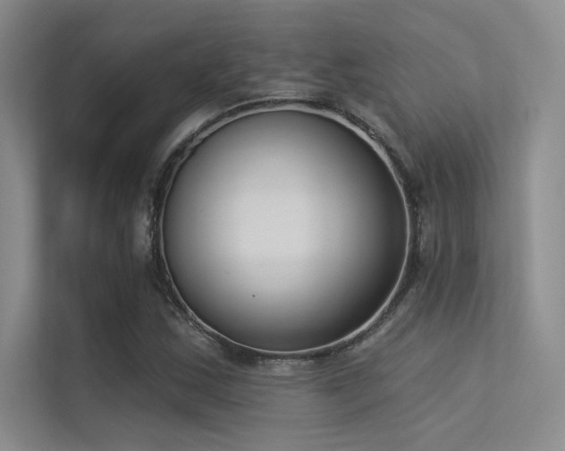 X0000113361163200909151229