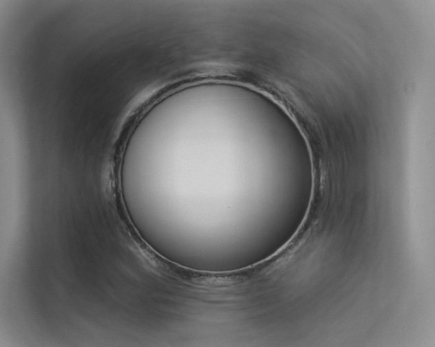 X0000113361164200909151229