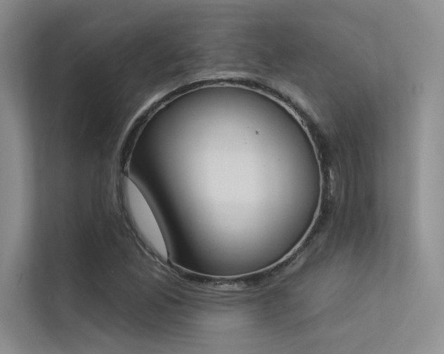 X0000113361165200909151229