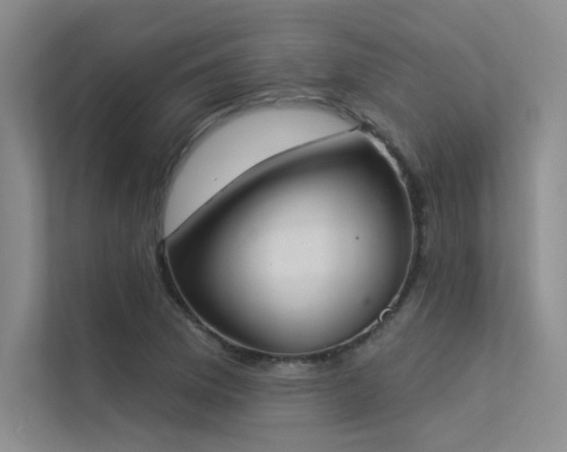 X0000113361169200909151229