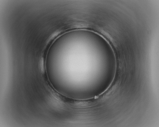X0000113361171200909151229