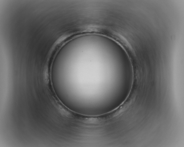X0000113361172200909151229