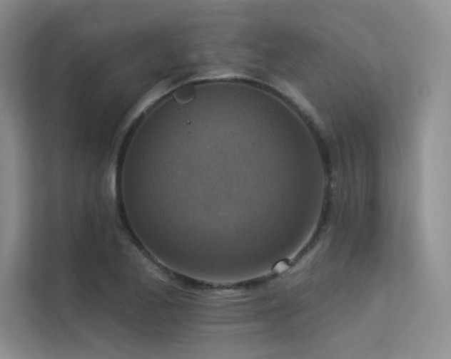 X0000113361173200909151229