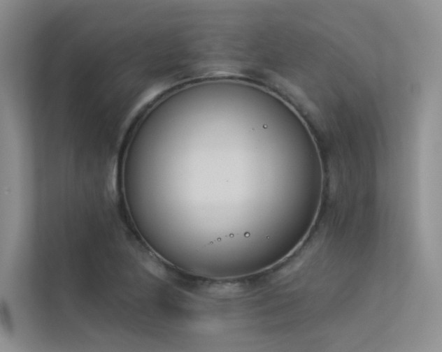 X0000113361174200909151229