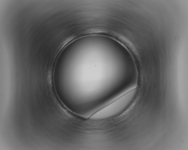 X0000113361177200909151229