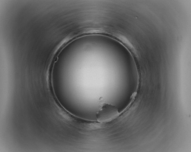 X0000113361181200909151229
