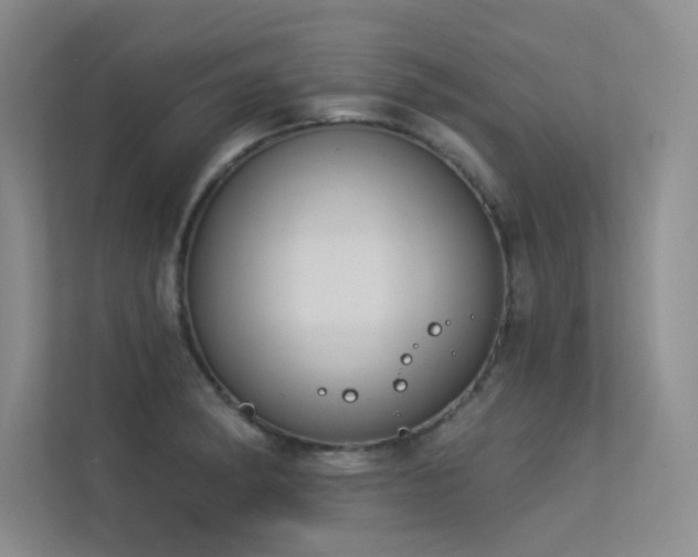 X0000113361182200909151229