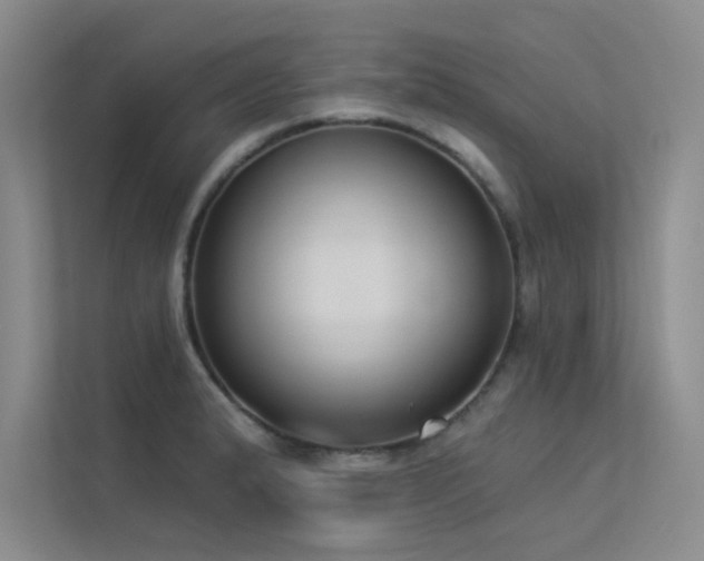 X0000113361183200909151229