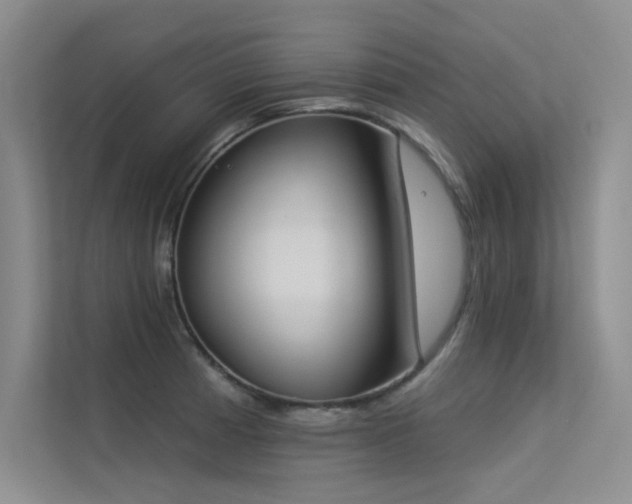 X0000113361185200909151229