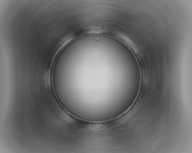 X0000113361186200909151229