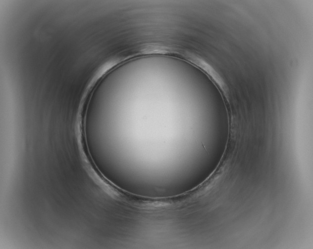 X0000113361187200909151229
