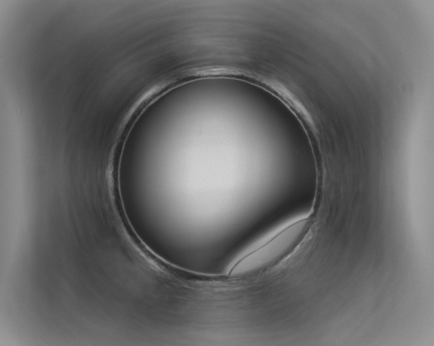 X0000113361189200909151229