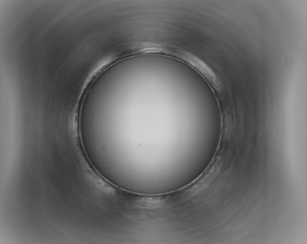 X0000113361190200909151229