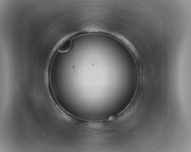 X0000113361191200909151229