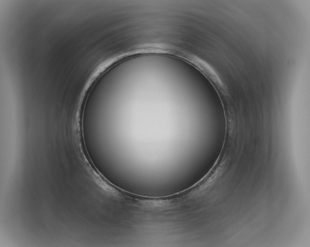 X0000113361192200909151229