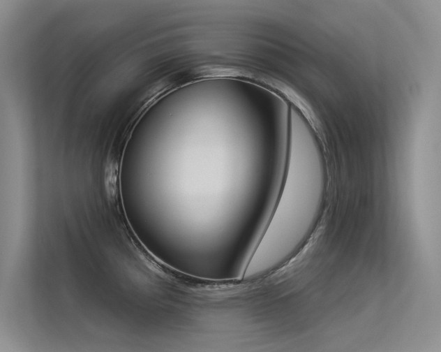 X0000113361193200909151229