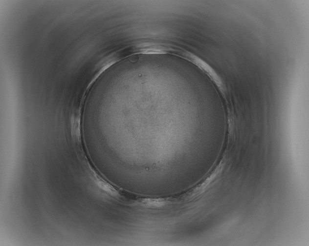 X0000113361194200909151229