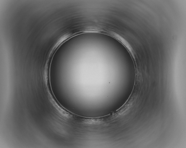 X0000113361195200909151229