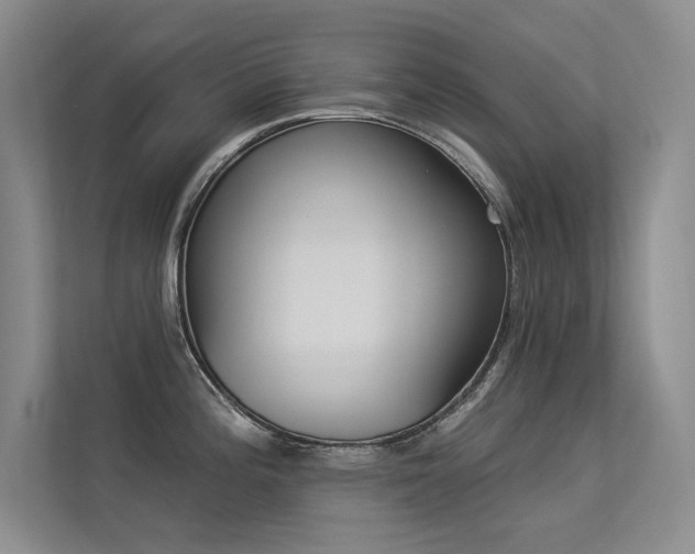 X0000113361196200909151229