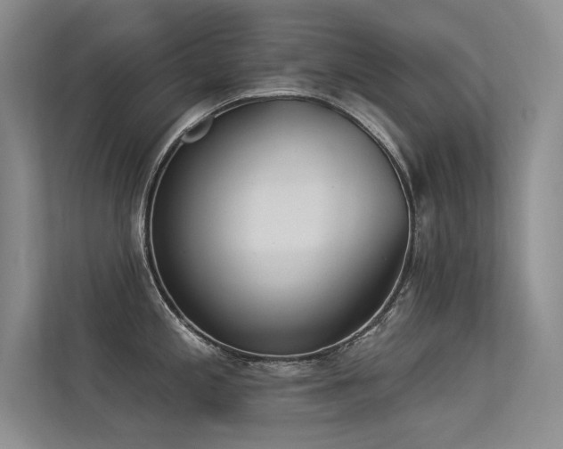 X0000113361197200909151229