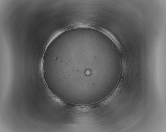 X0000113361198200909151229