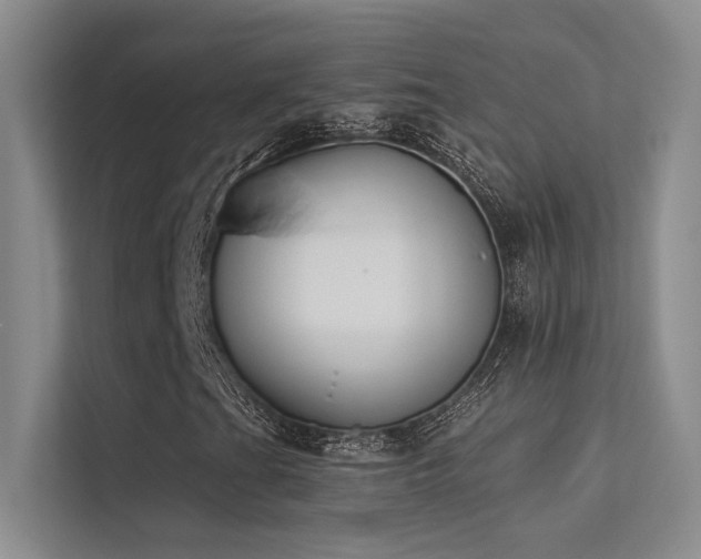 X0000113361201200909151228