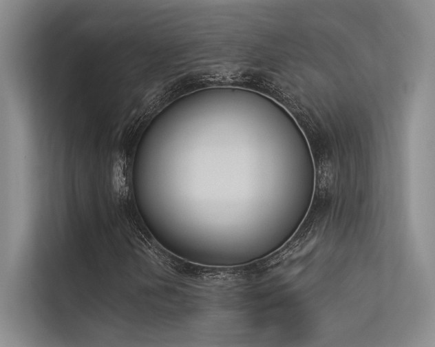 X0000113361202200909151228