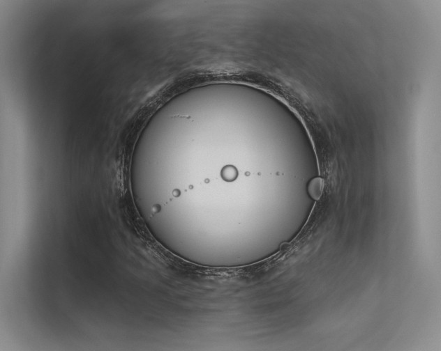 X0000113361205200909151228